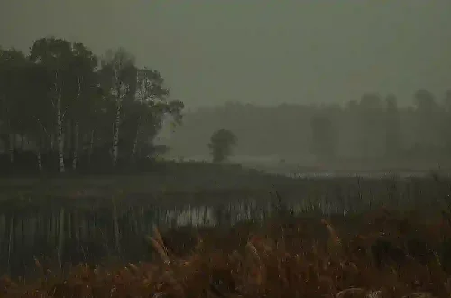 Das Erbe der Pruzzen: Baltische Namen & Totenklagen