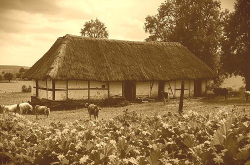 Familienlegende meines 11x Urgrossvaters Jochim Bornholdt