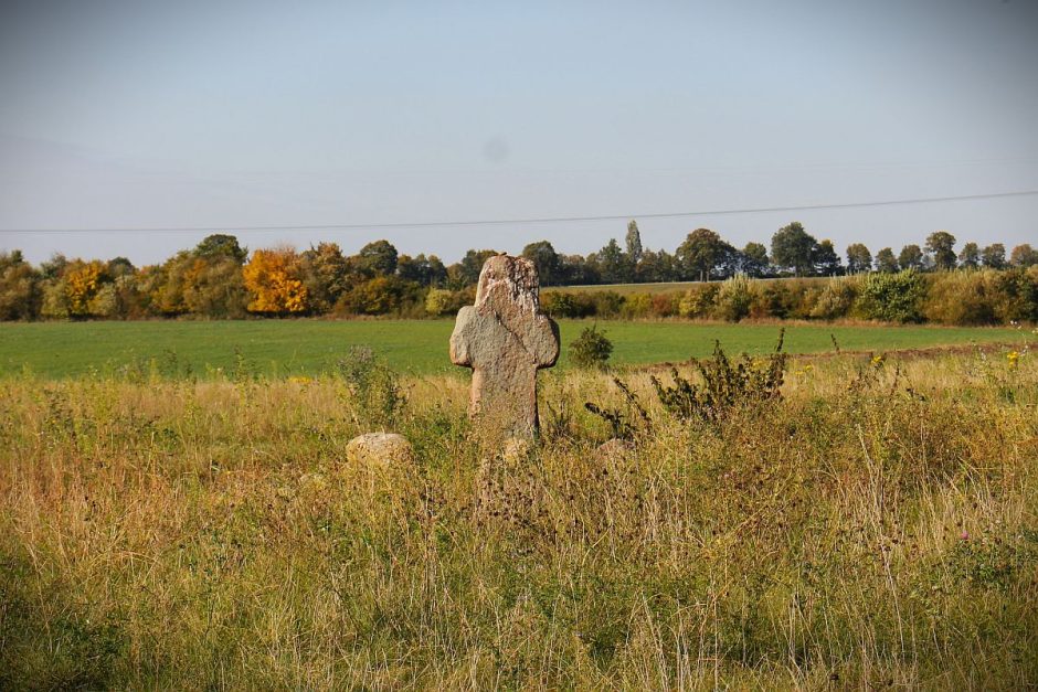 Ein Sühnestein mitten auf einem Feld