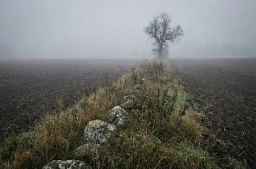 Die Zauberin von Lensahn & ihr letzter Weg