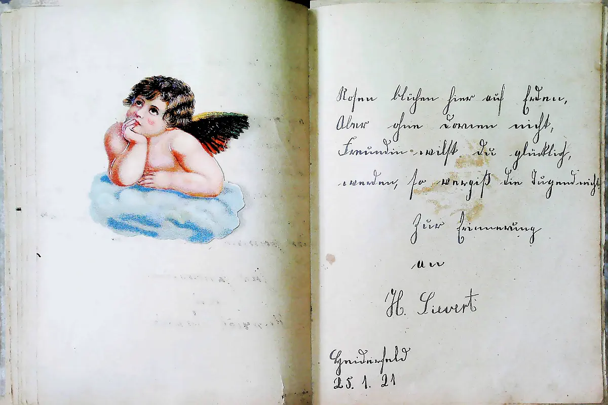 14_h_sievert